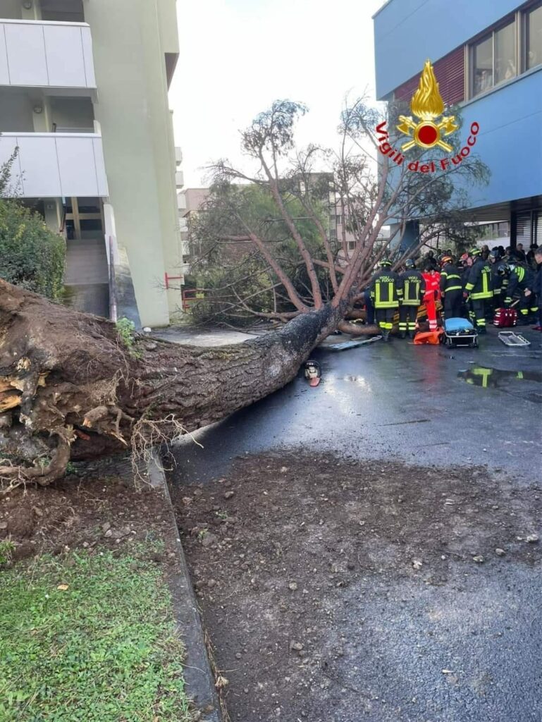 Tragedia sfiorata ad Unisa durante il TFA Tre feriti.