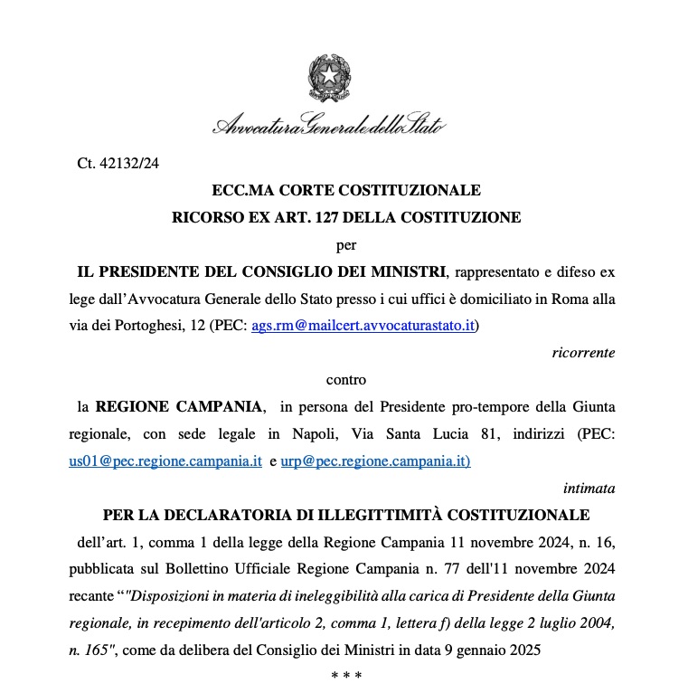 Dalla legge del 2009 alla concentrazione del potere: ecco i punti del ricorso